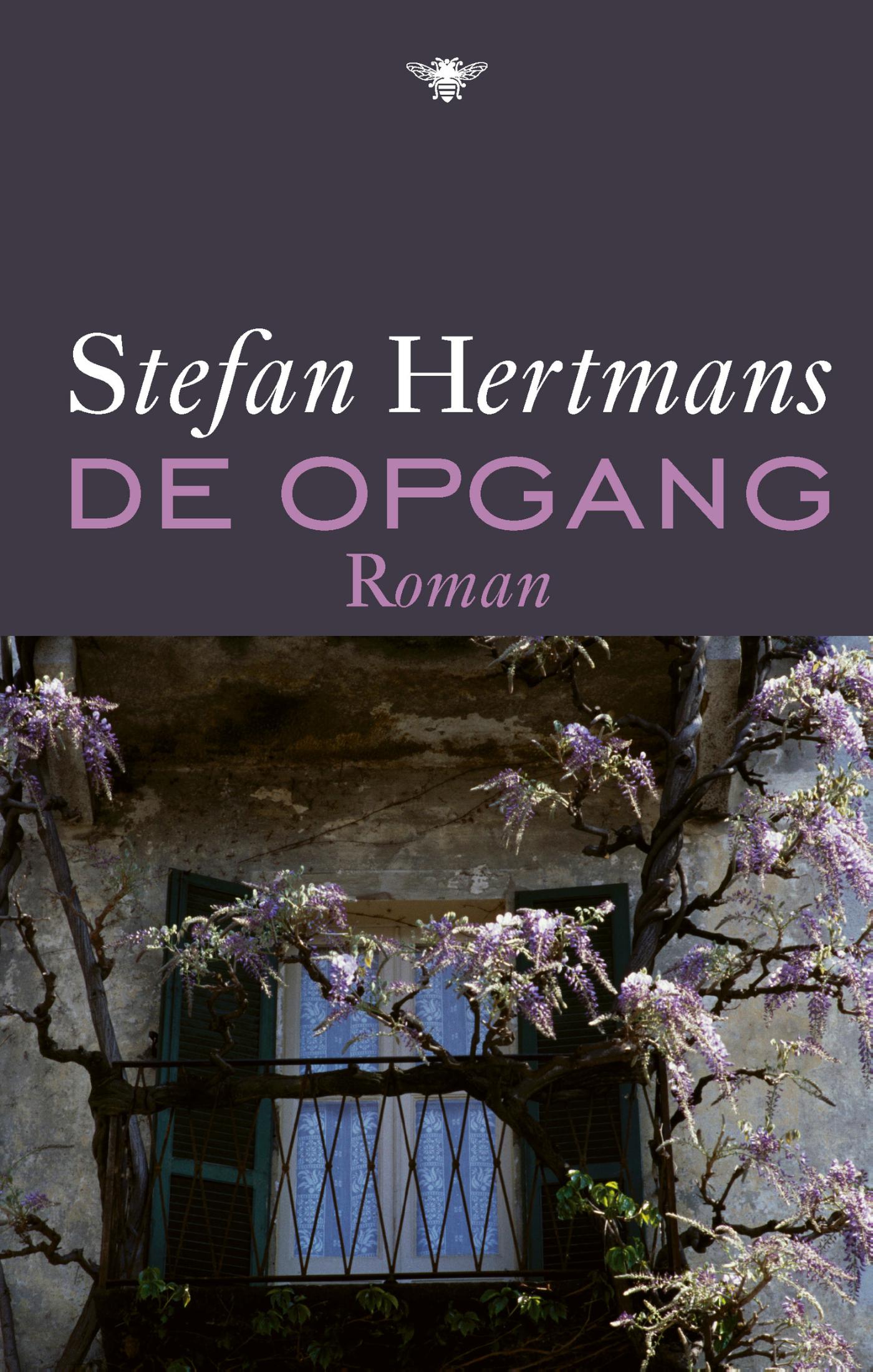 Omslag van De opgang