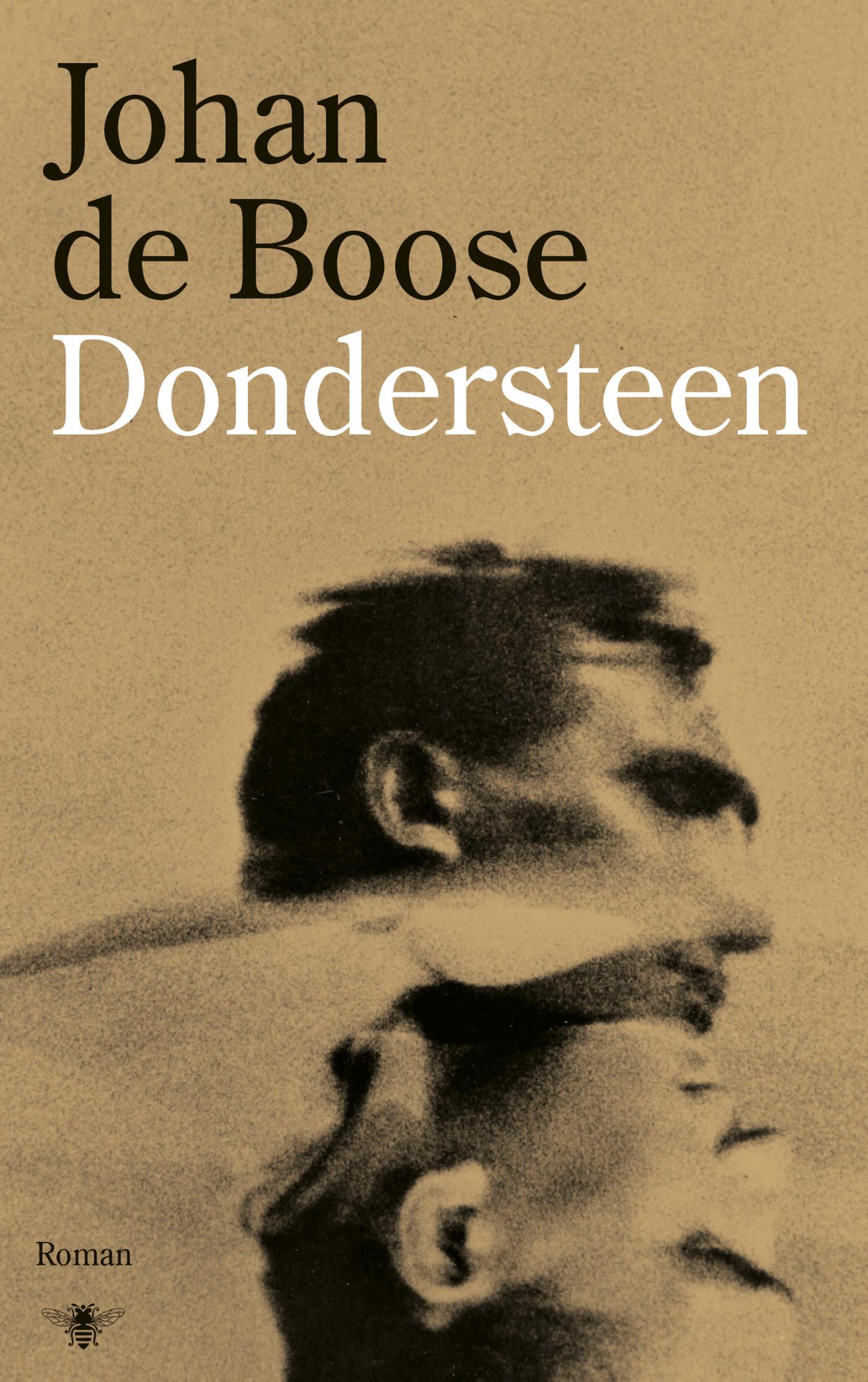 Omslag van Dondersteen