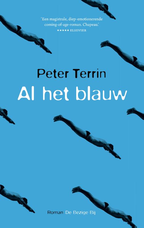 Omslag van Al het blauw
