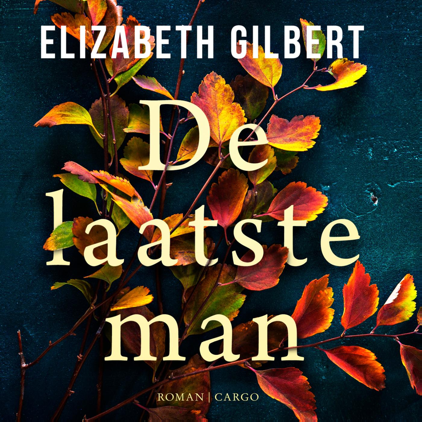 Omslag van De laatste man