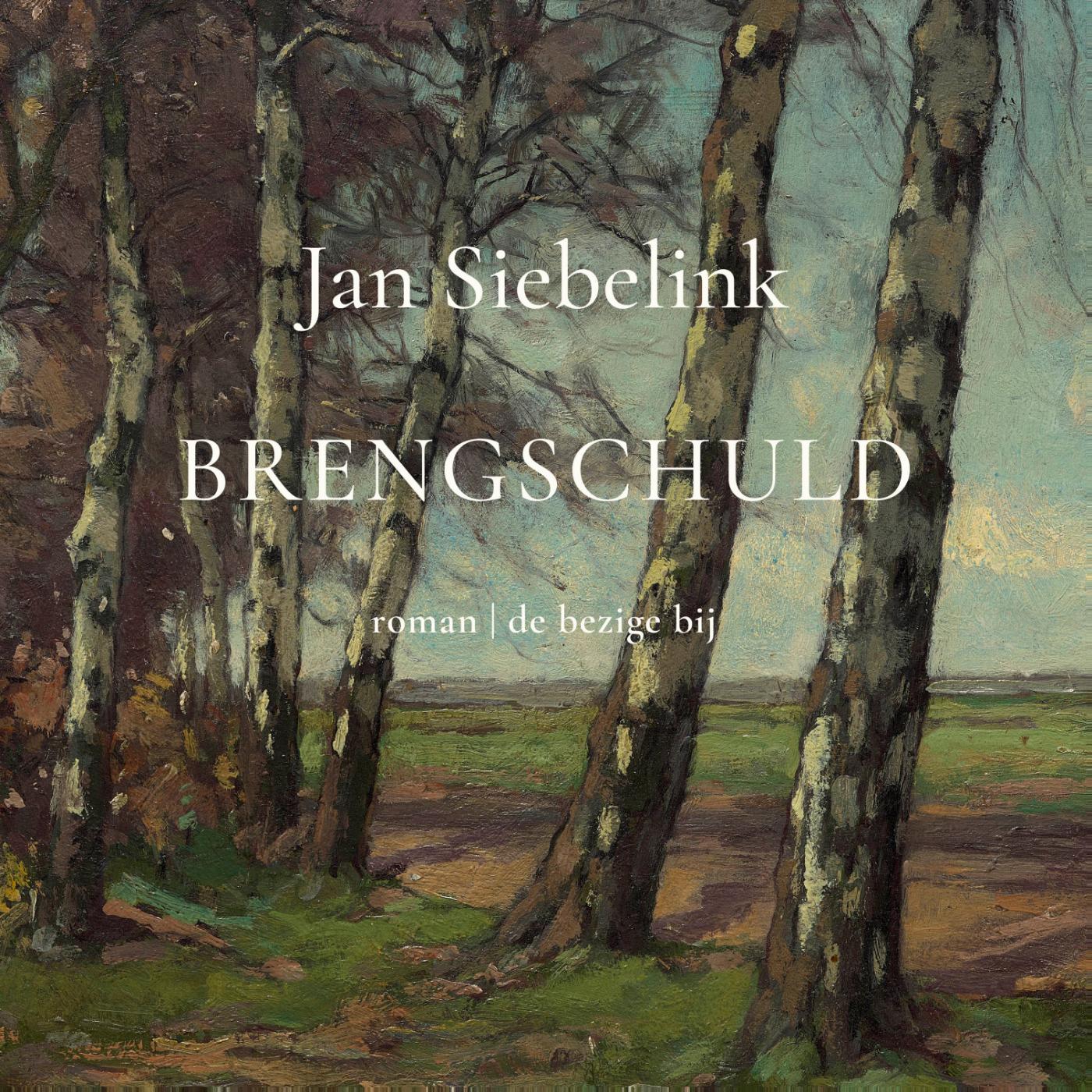Omslag van Brengschuld