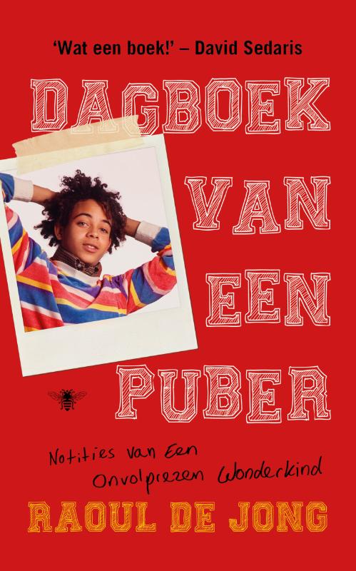 Omslag van Dagboek van een puber