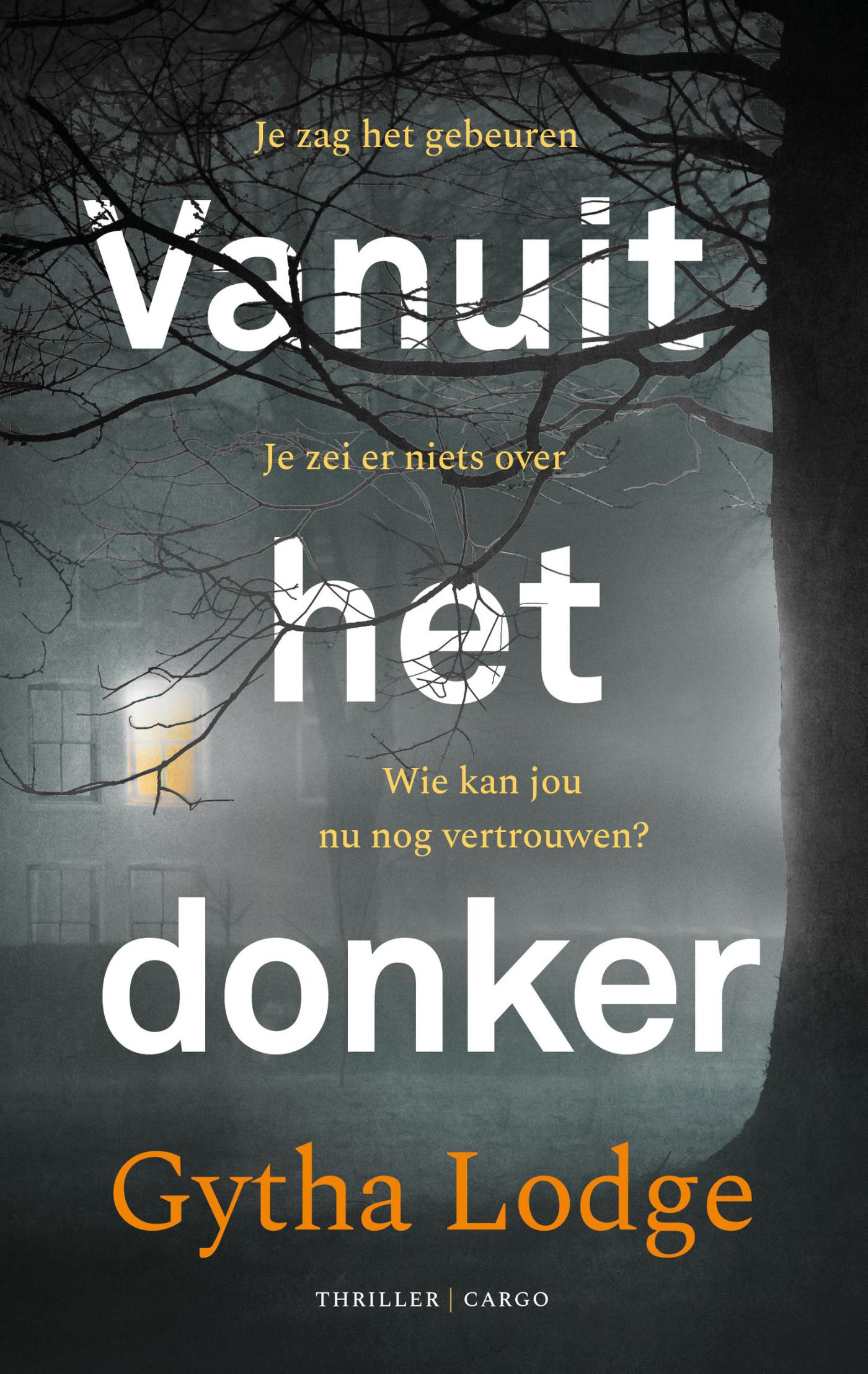 Omslag van Vanuit het donker
