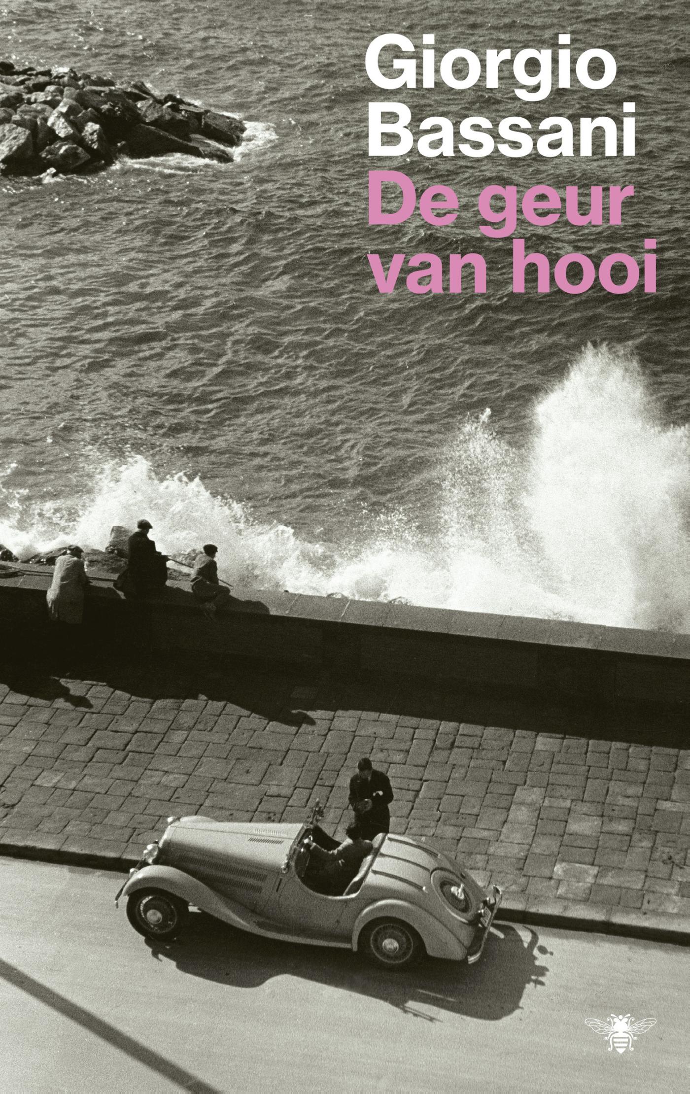 Omslag van De geur van hooi