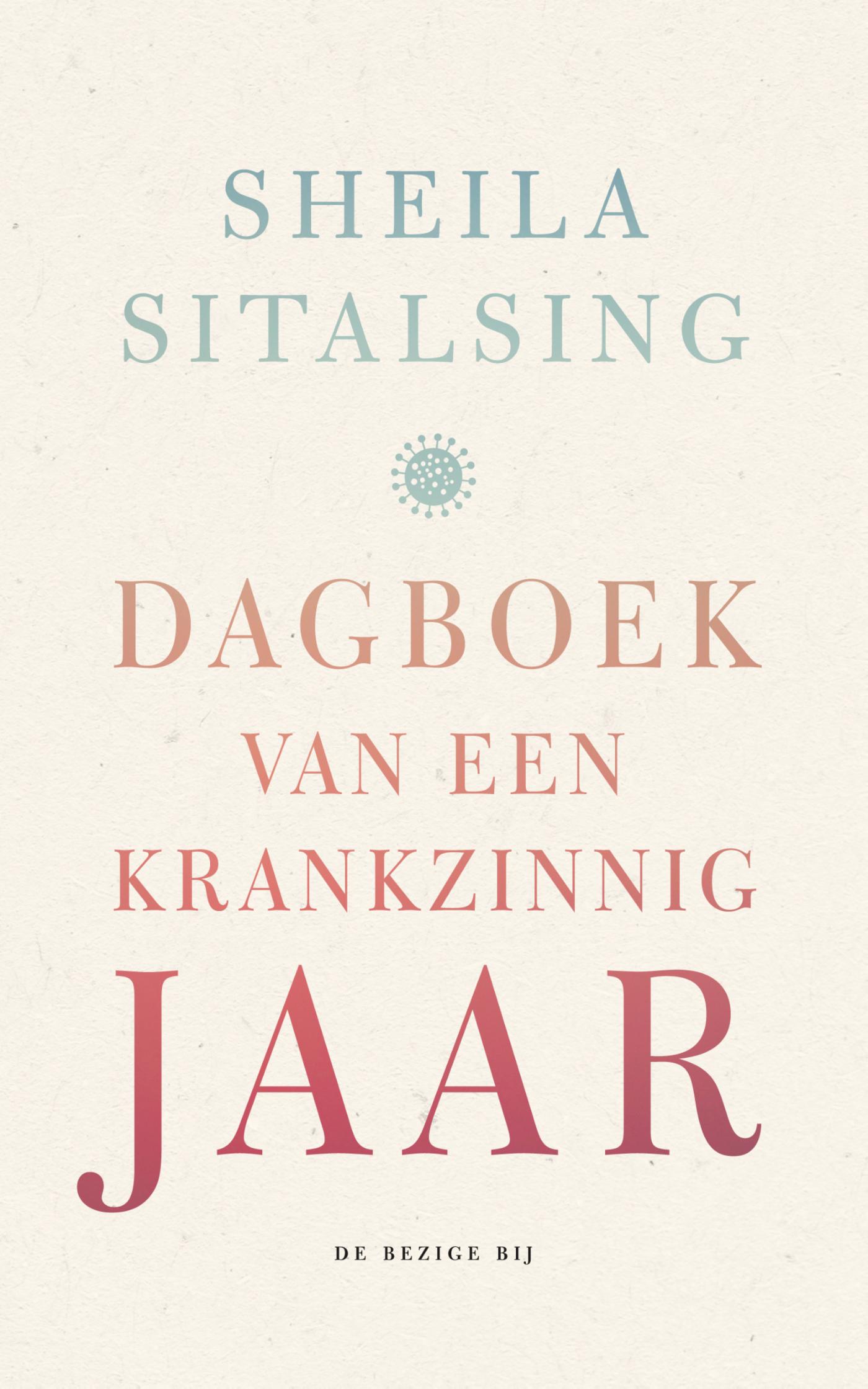 Omslag van Dagboek van een krankzinnig jaar