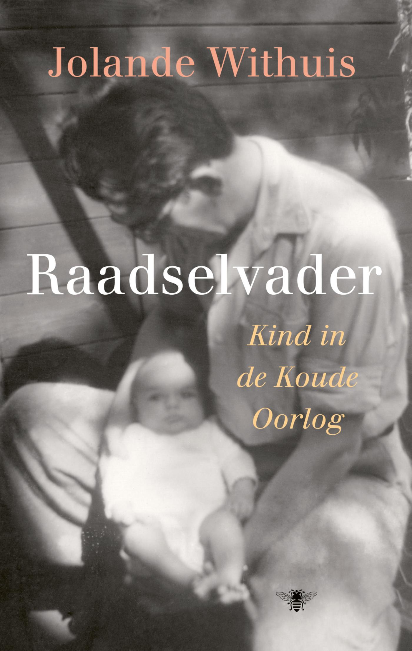 Omslag van Raadselvader