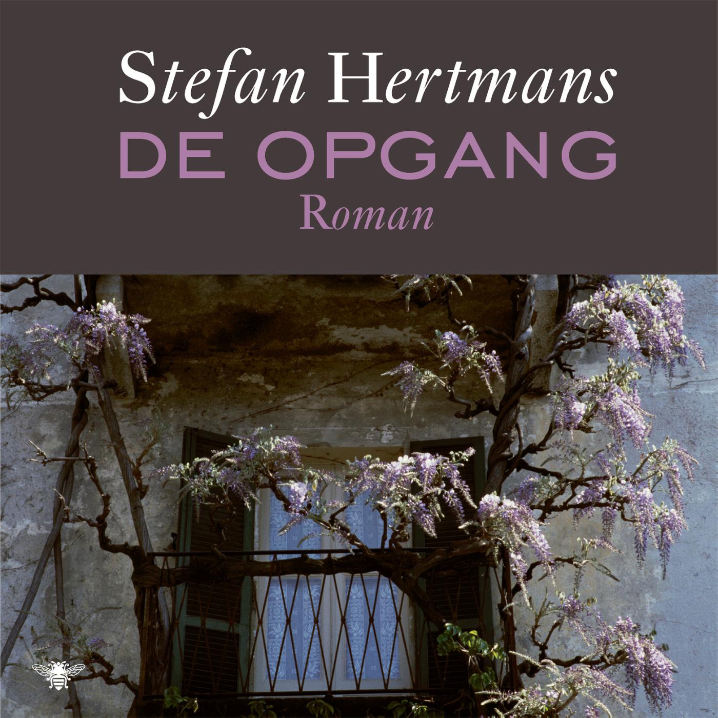 Omslag van De opgang
