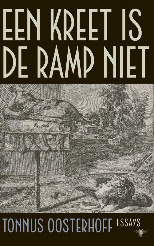 Omslag van Een kreet is de ramp niet