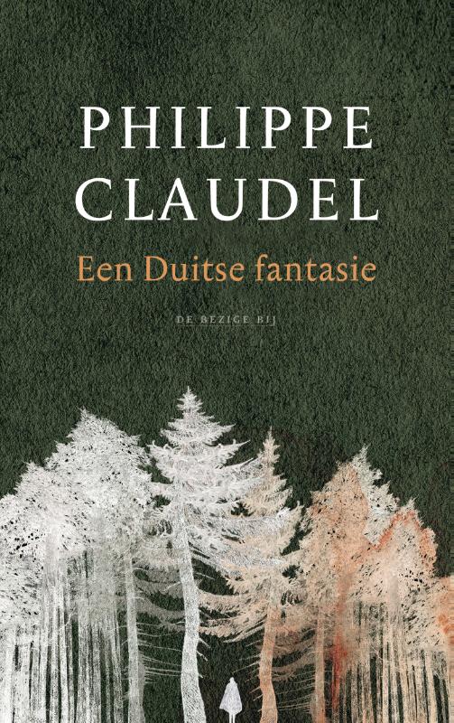 Omslag van Een Duitse fantasie