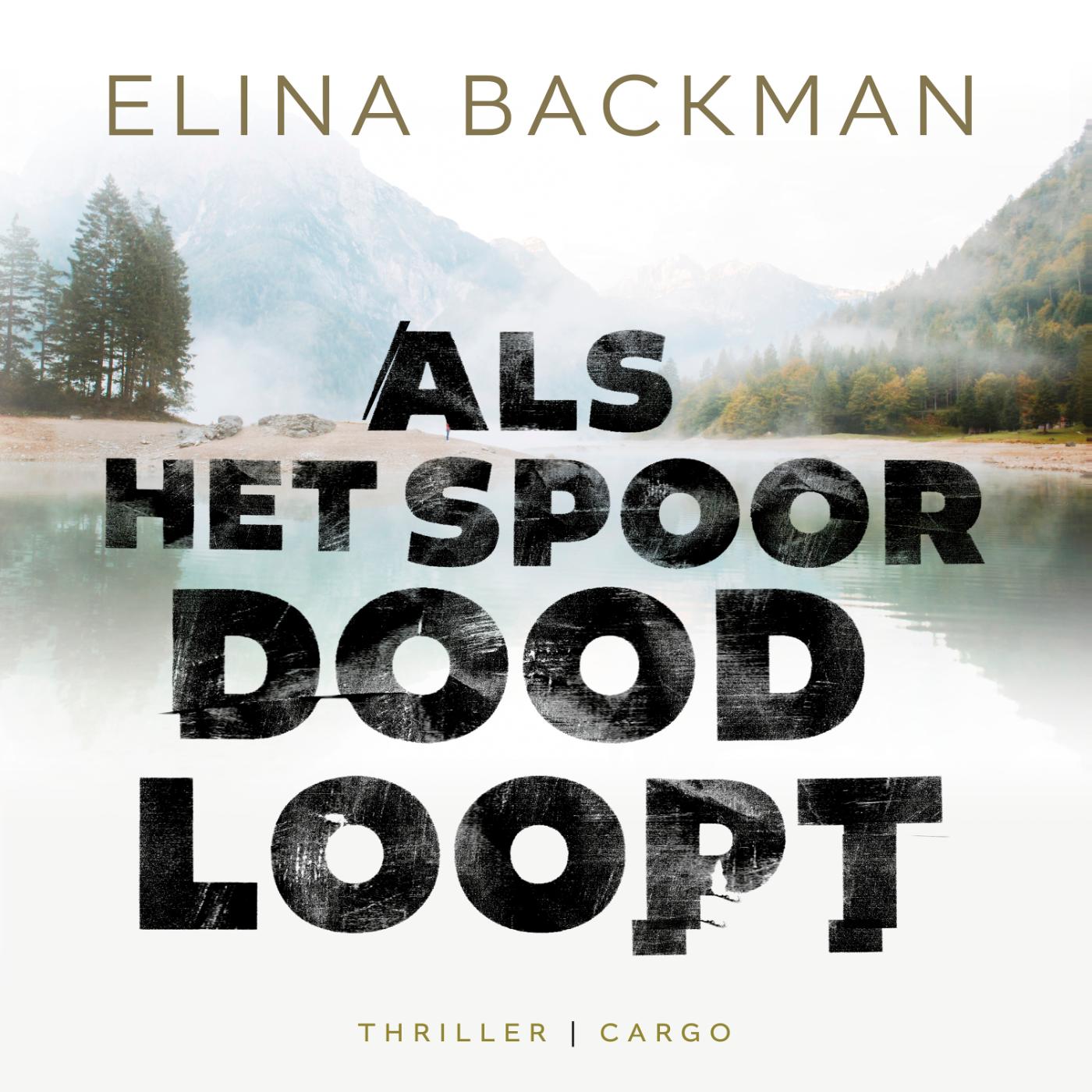 Omslag van Als het spoor doodloopt