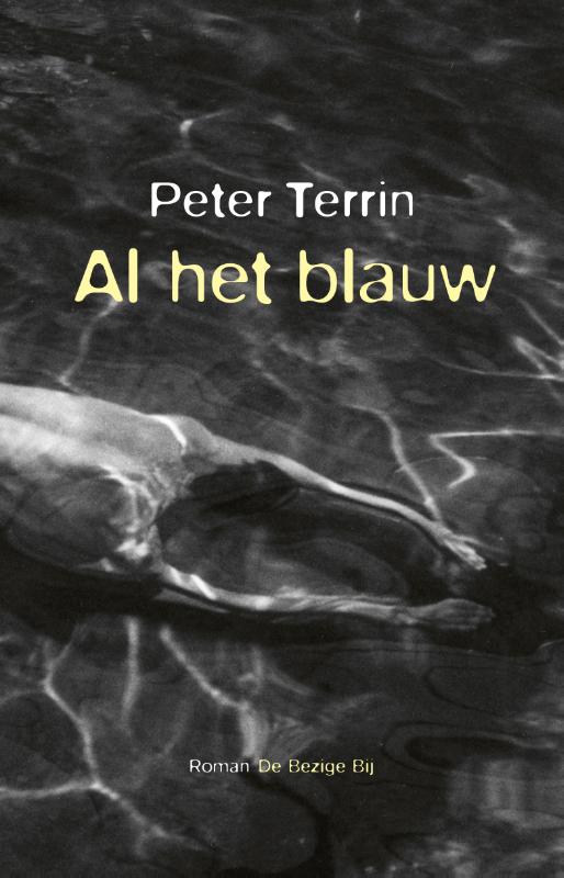 Omslag van Al het blauw