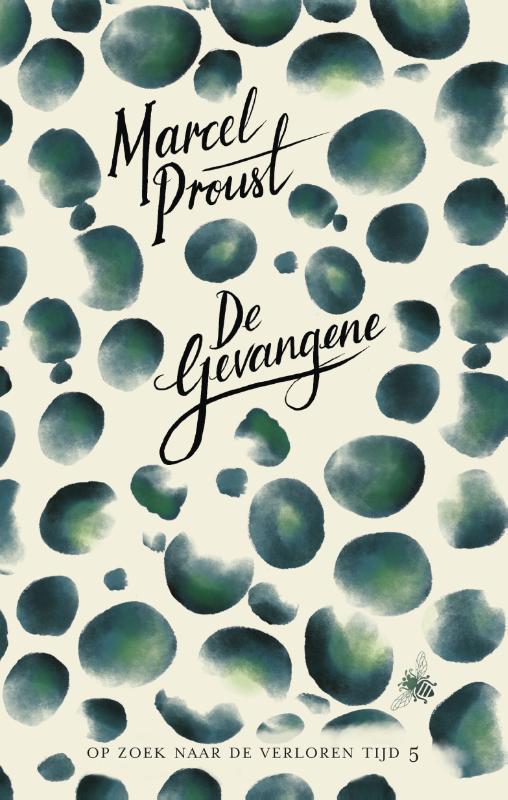 Omslag van De gevangene
