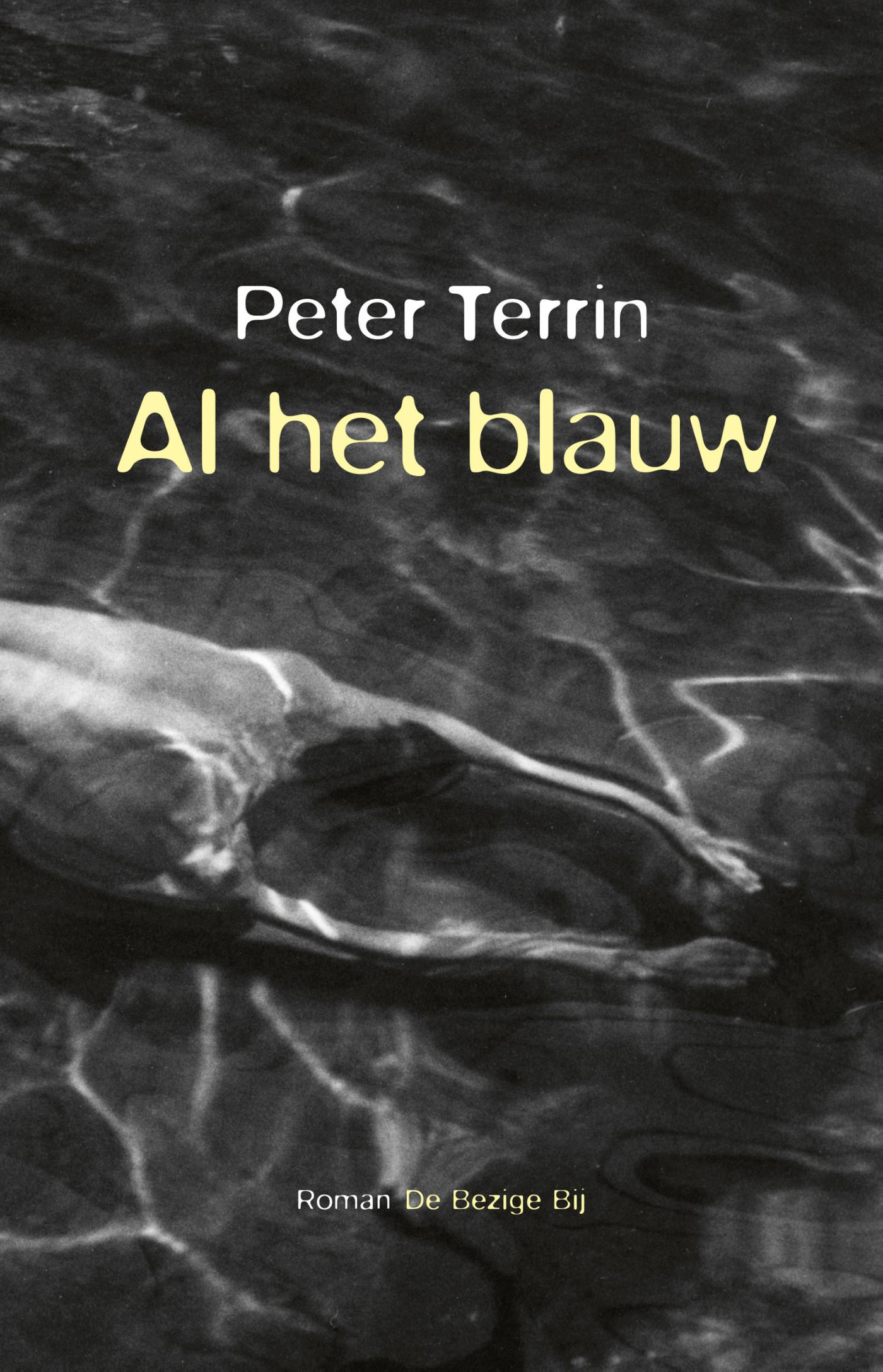 Omslag van Al het blauw