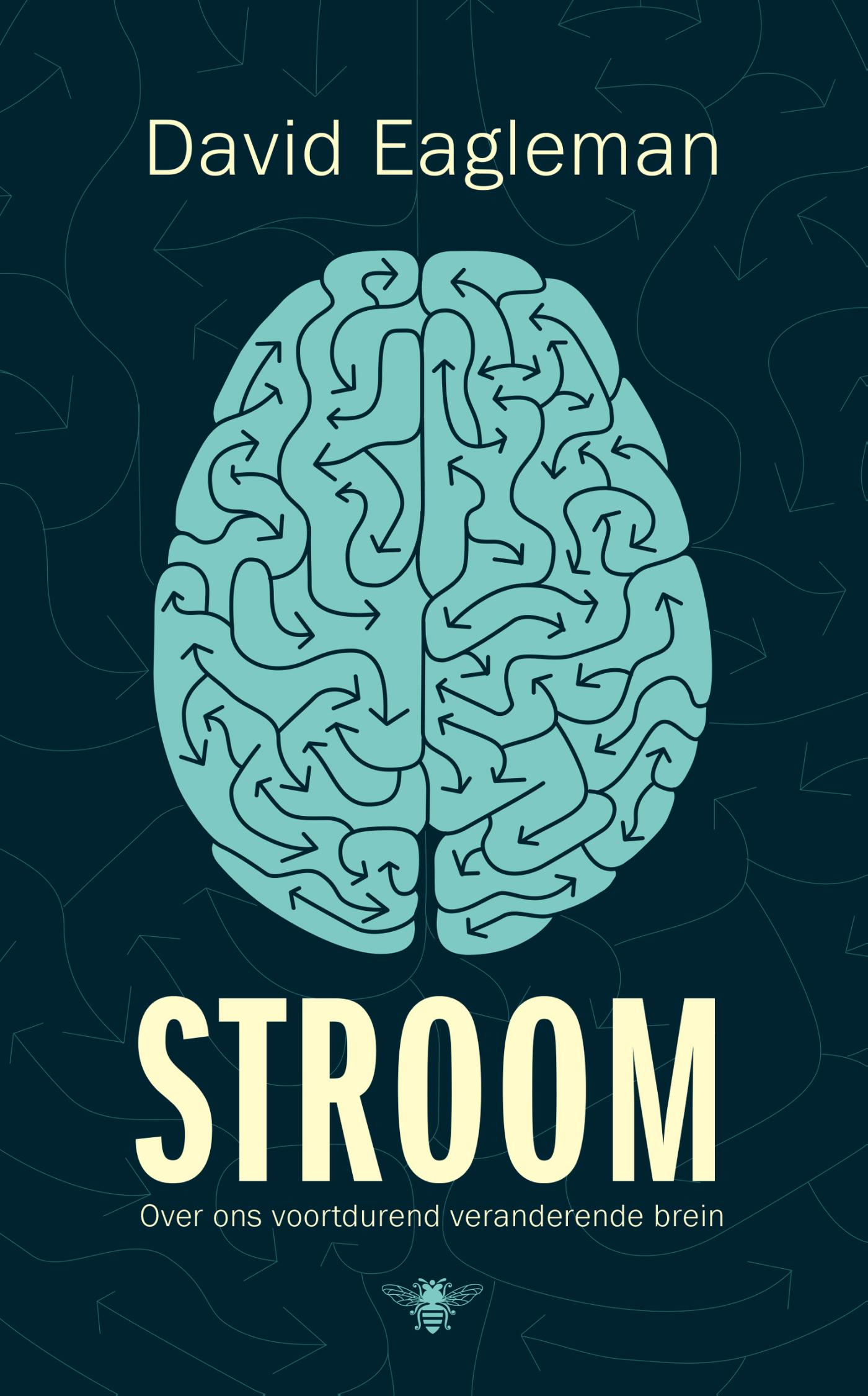 Omslag van Stroom