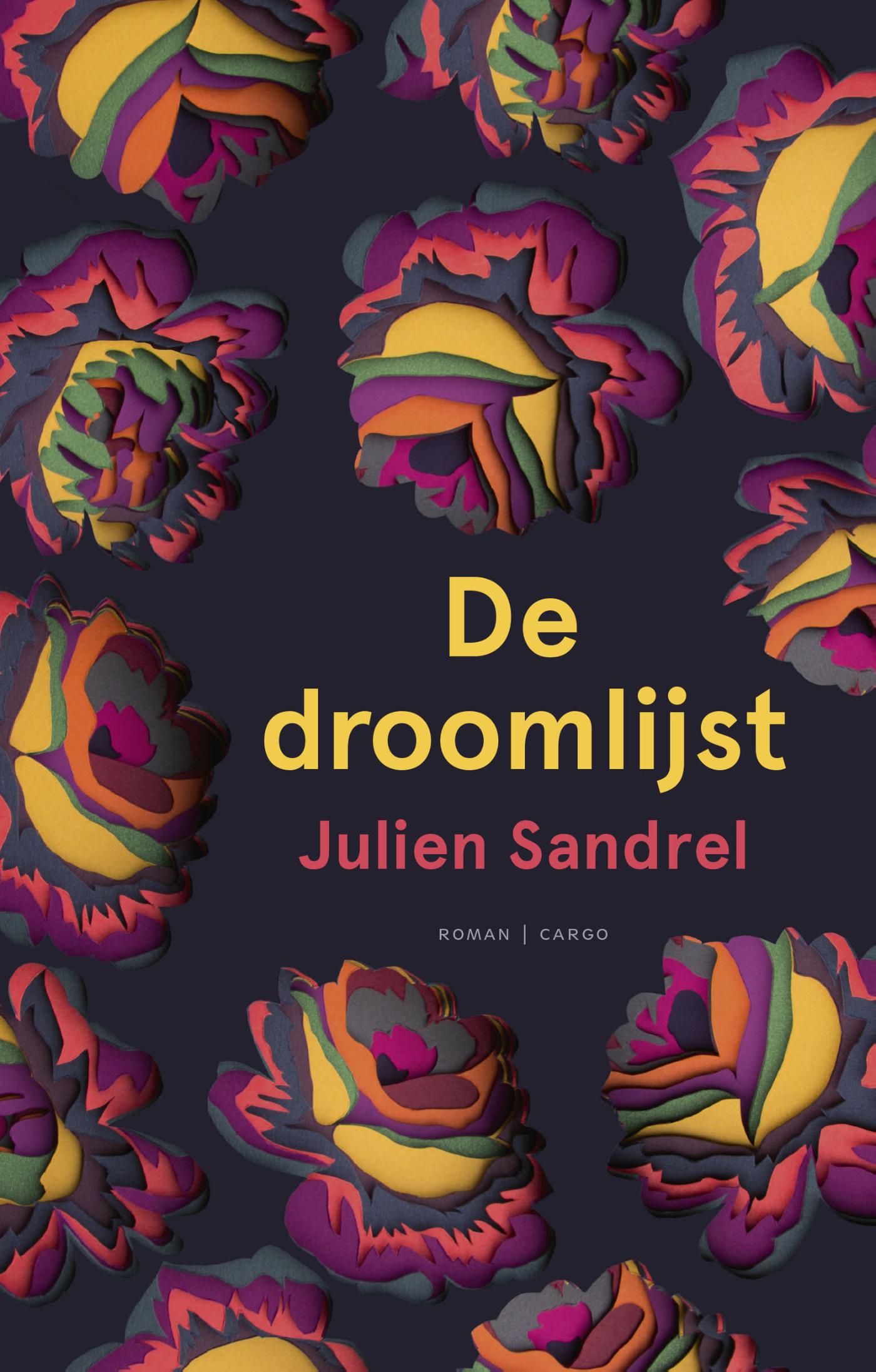 Omslag van Droomlijst