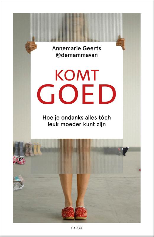 Omslag van Komt goed