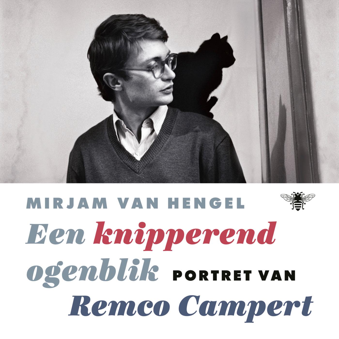 Omslag van Een knipperend ogenblik