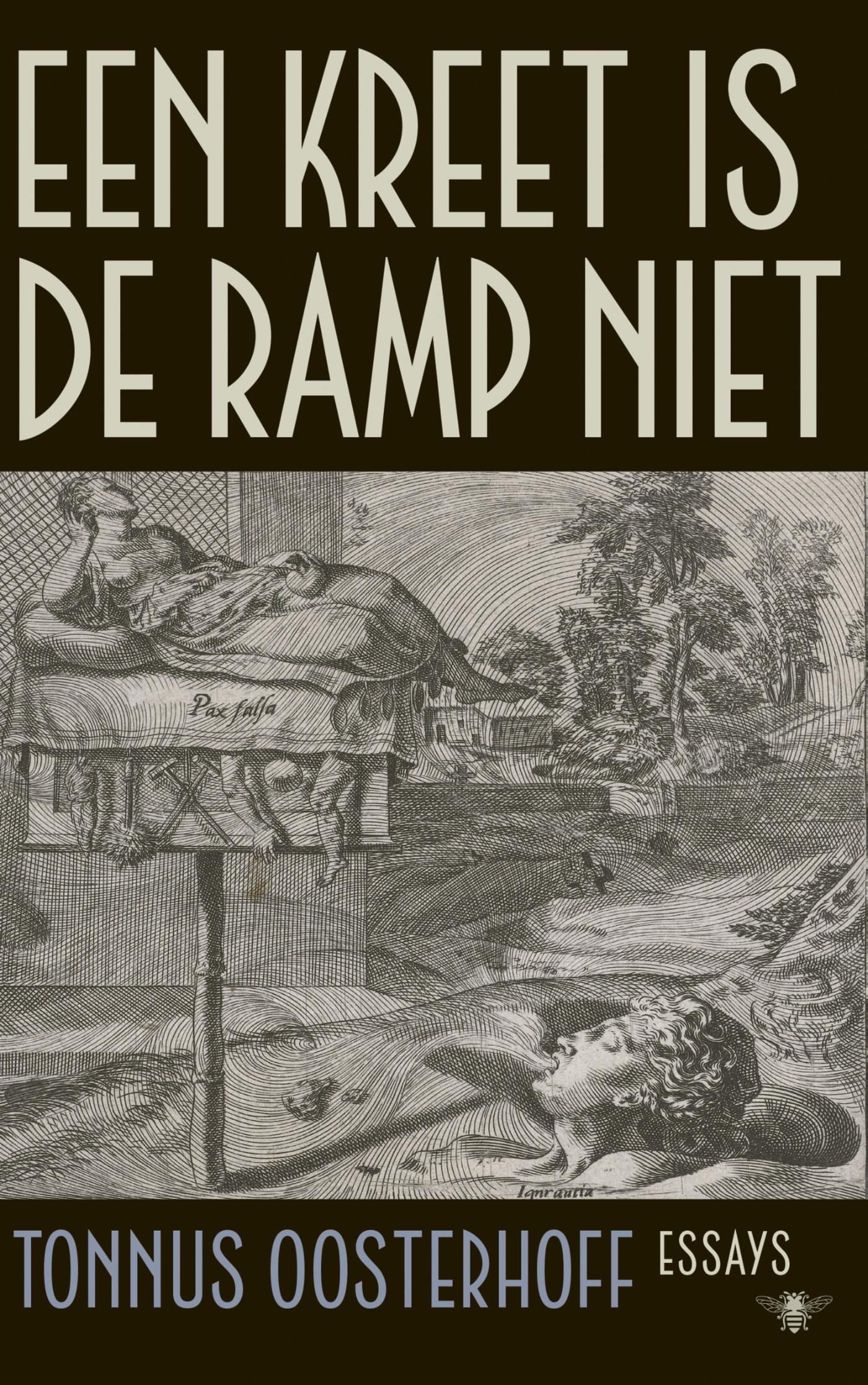 Omslag van Een kreet is de ramp niet
