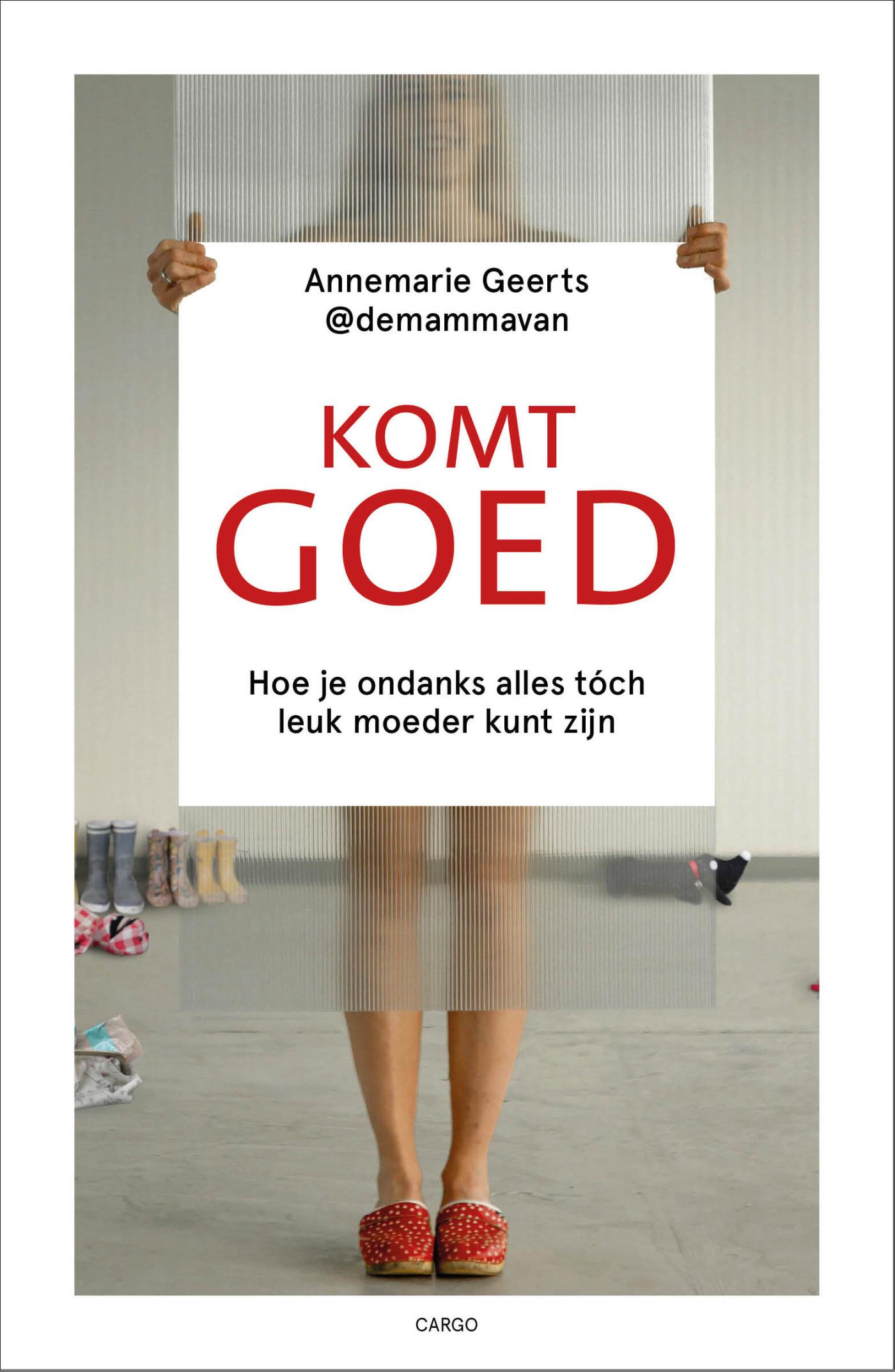 Omslag van Komt goed