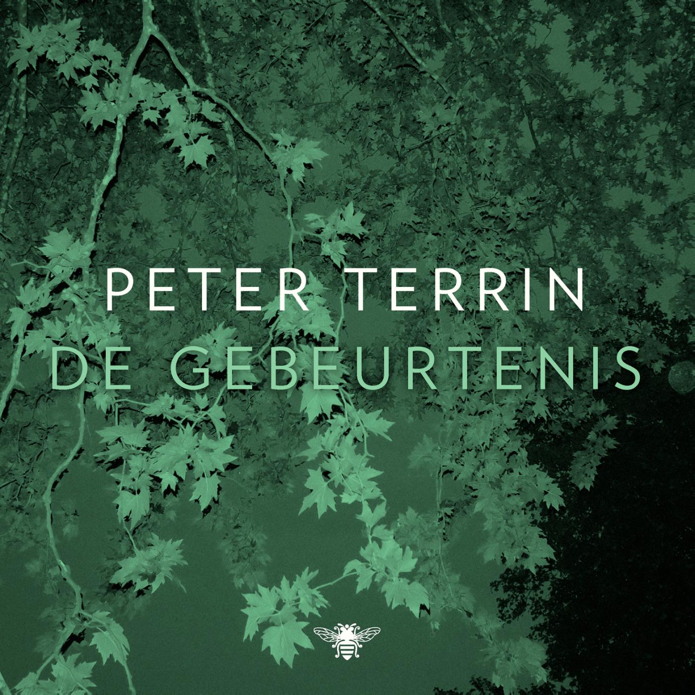 Omslag van De gebeurtenis