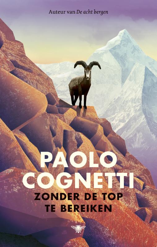 Omslag van Zonder de top te bereiken