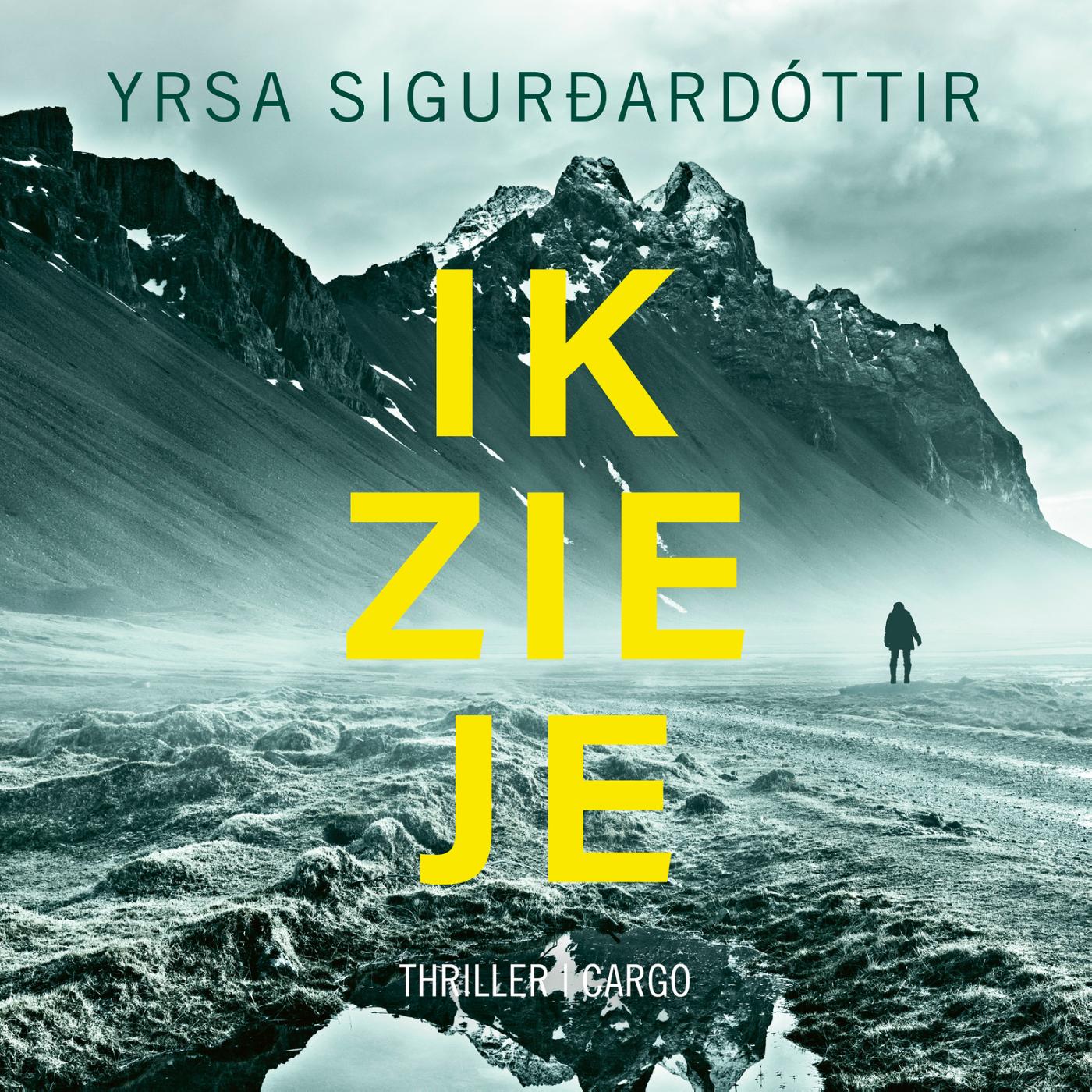 Omslag van Ik zie je