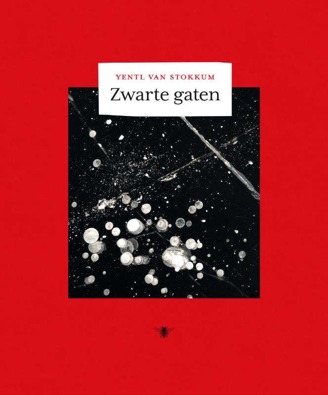 Omslag van Zwarte gaten