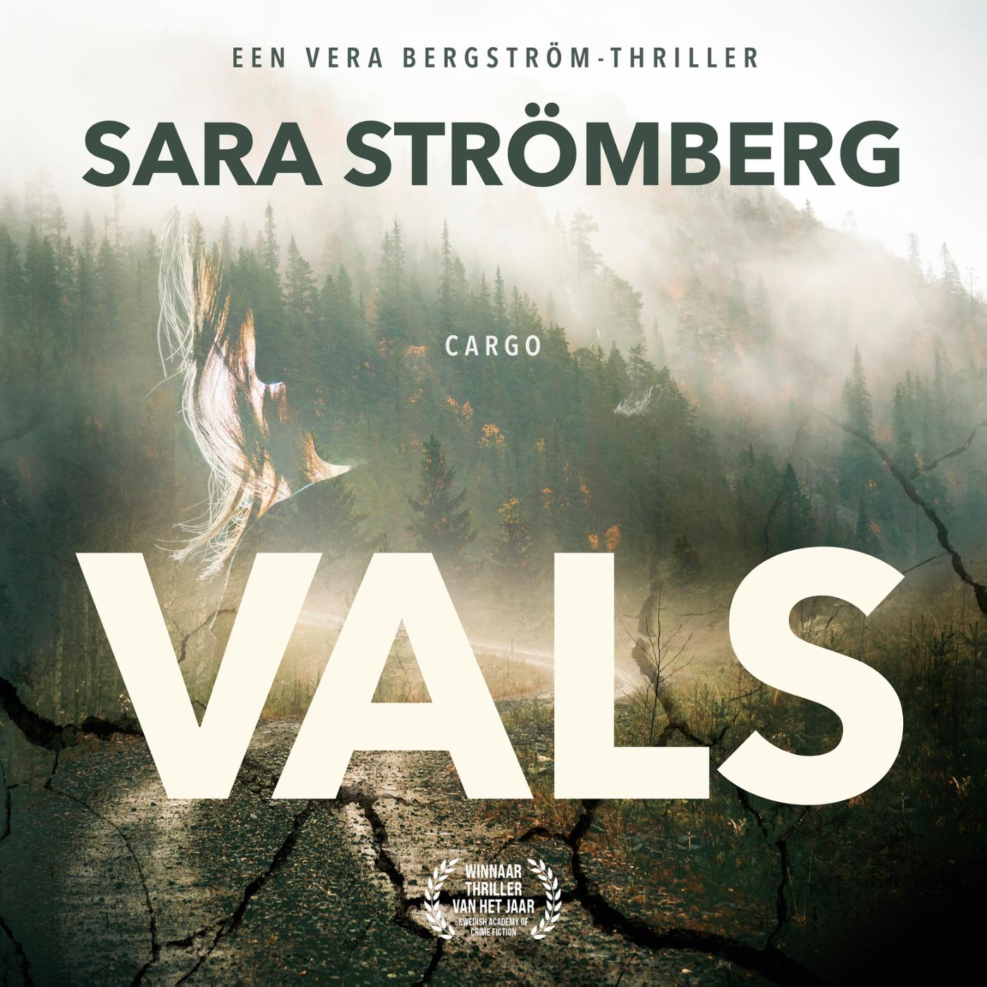 Omslag van Vals