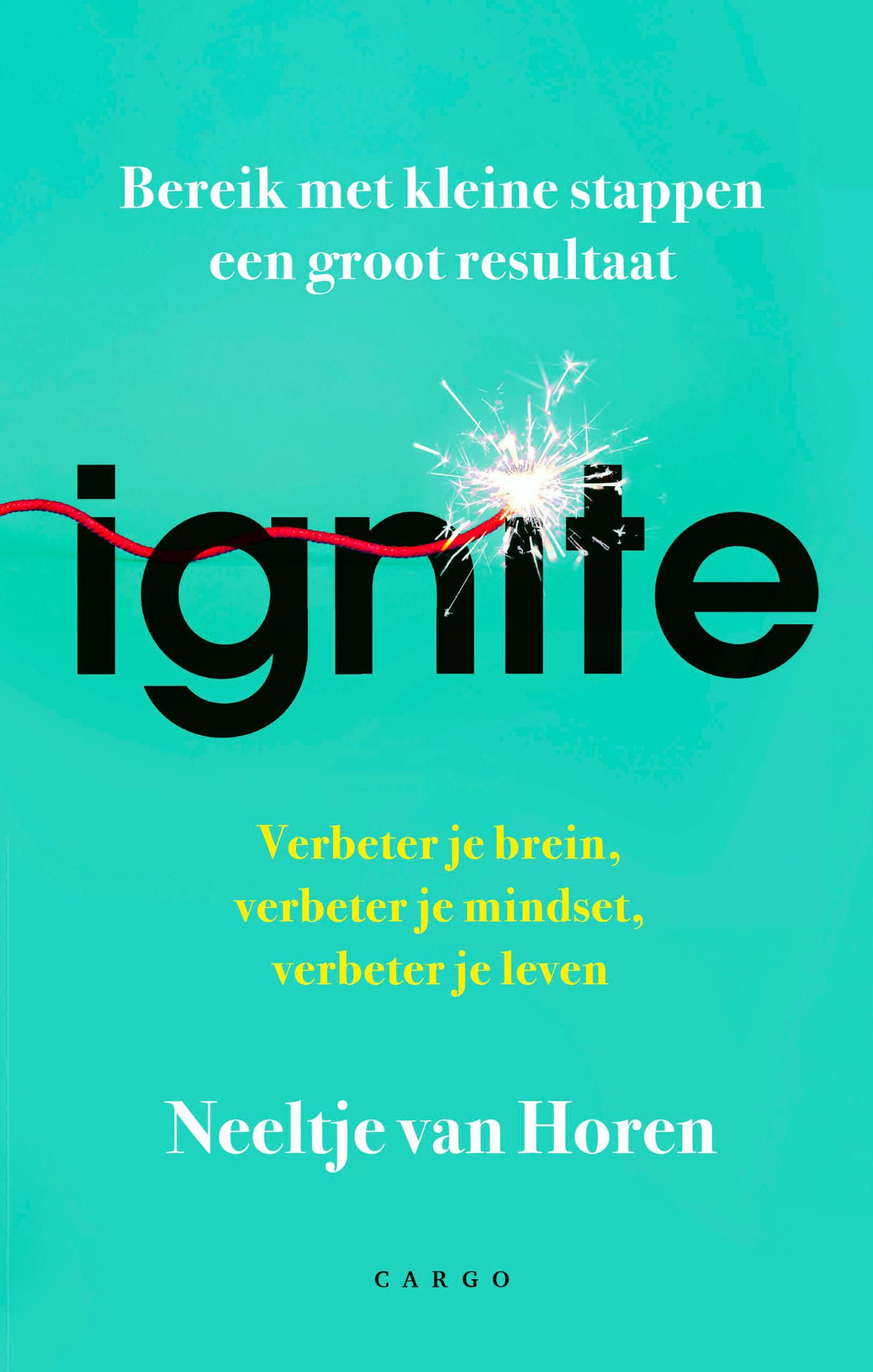 Omslag van Ignite