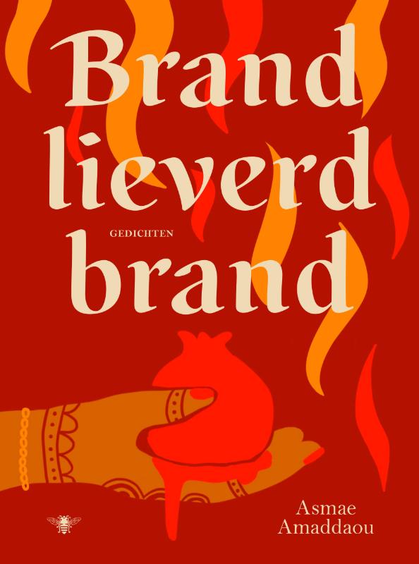Omslag van Brand lieverd brand