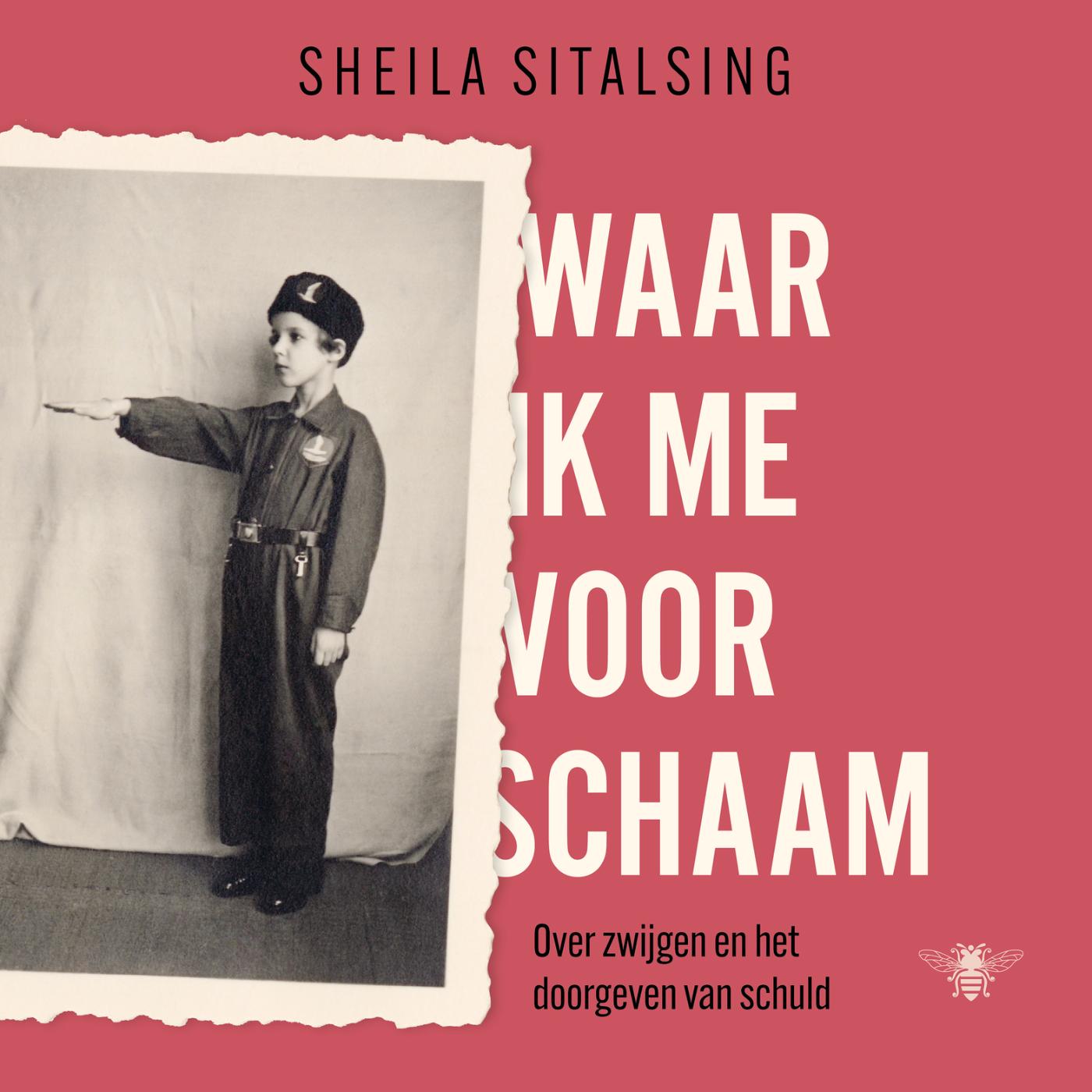 Omslag van Waar ik me voor schaam