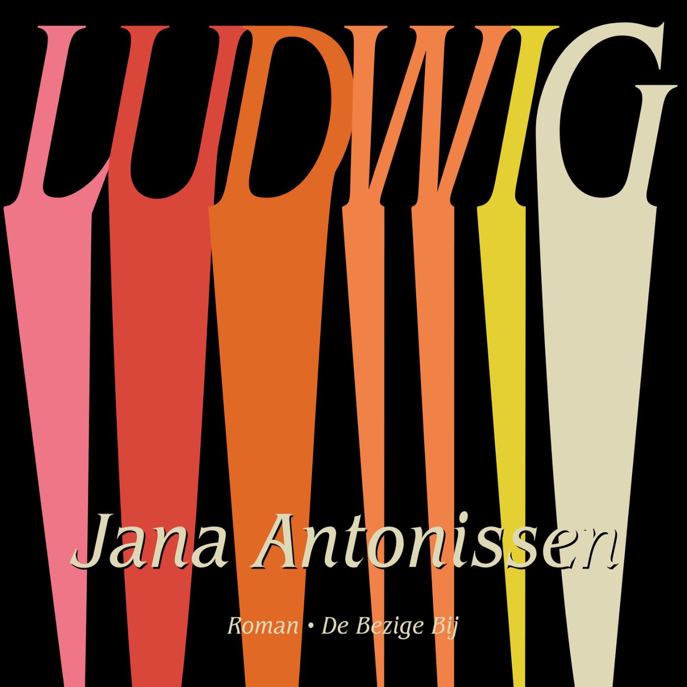 Omslag van Ludwig