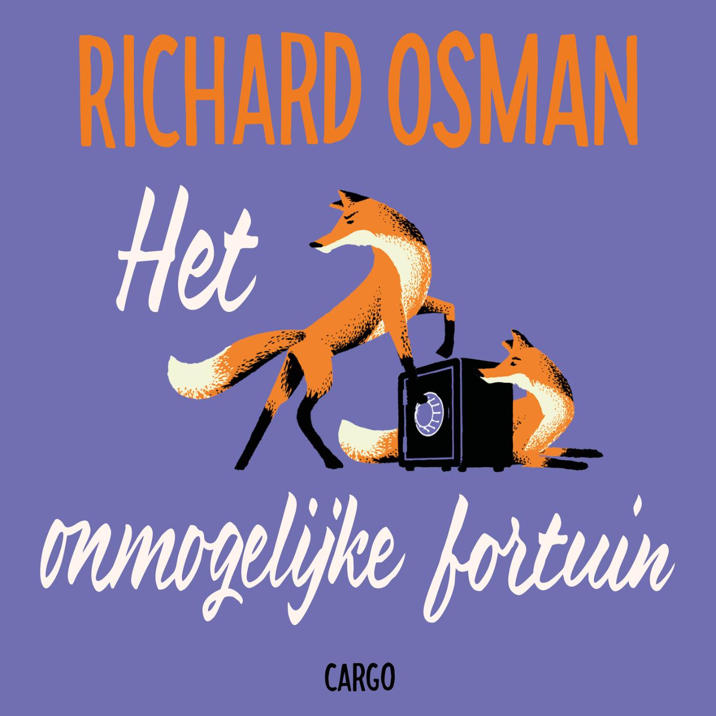 Omslag van Het onmogelijke fortuin