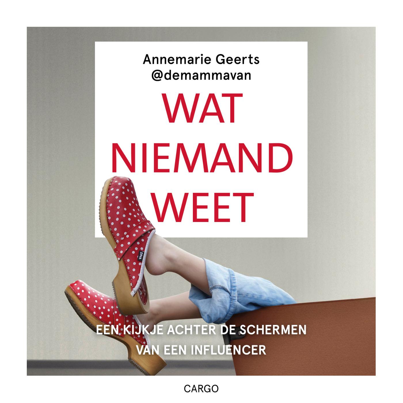 Omslag van Wat niemand weet