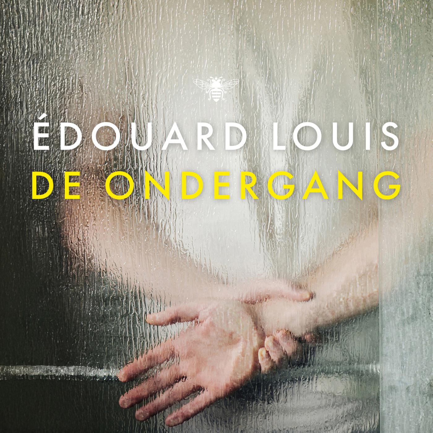 Omslag van De ondergang