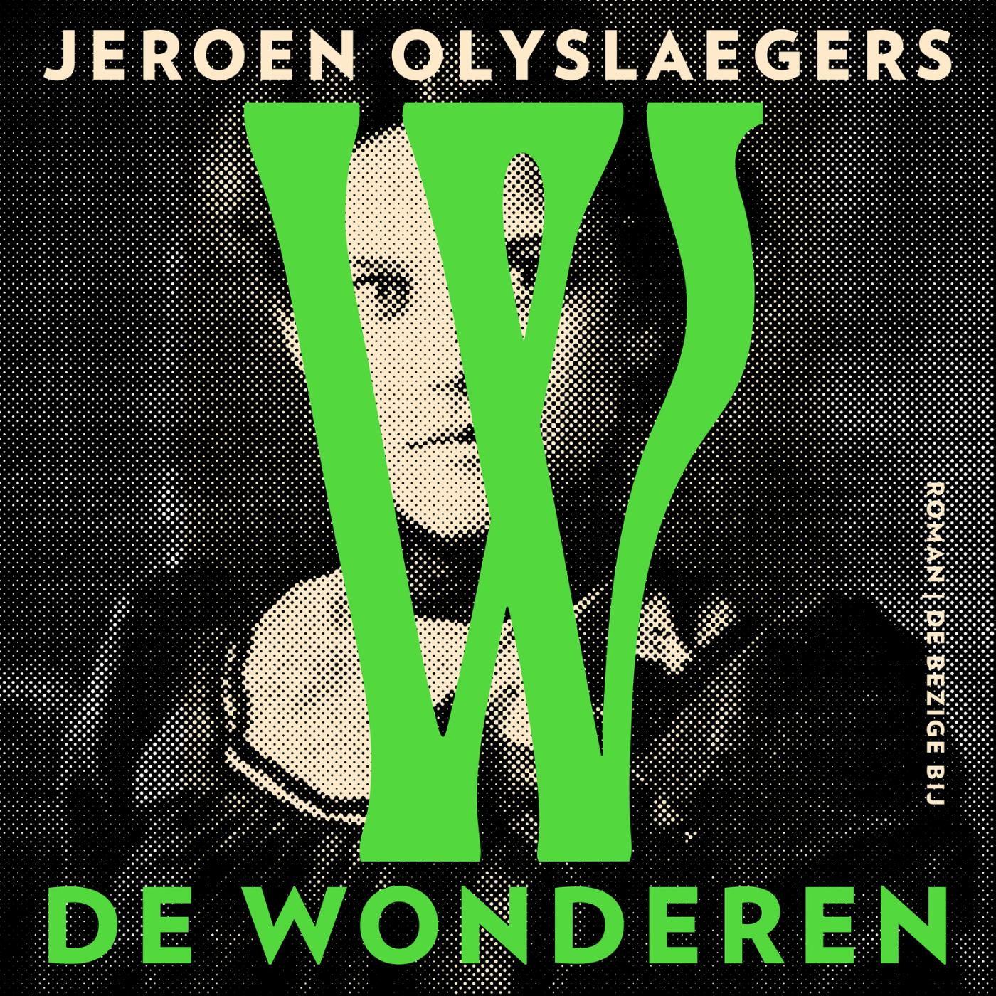 Omslag van De wonderen
