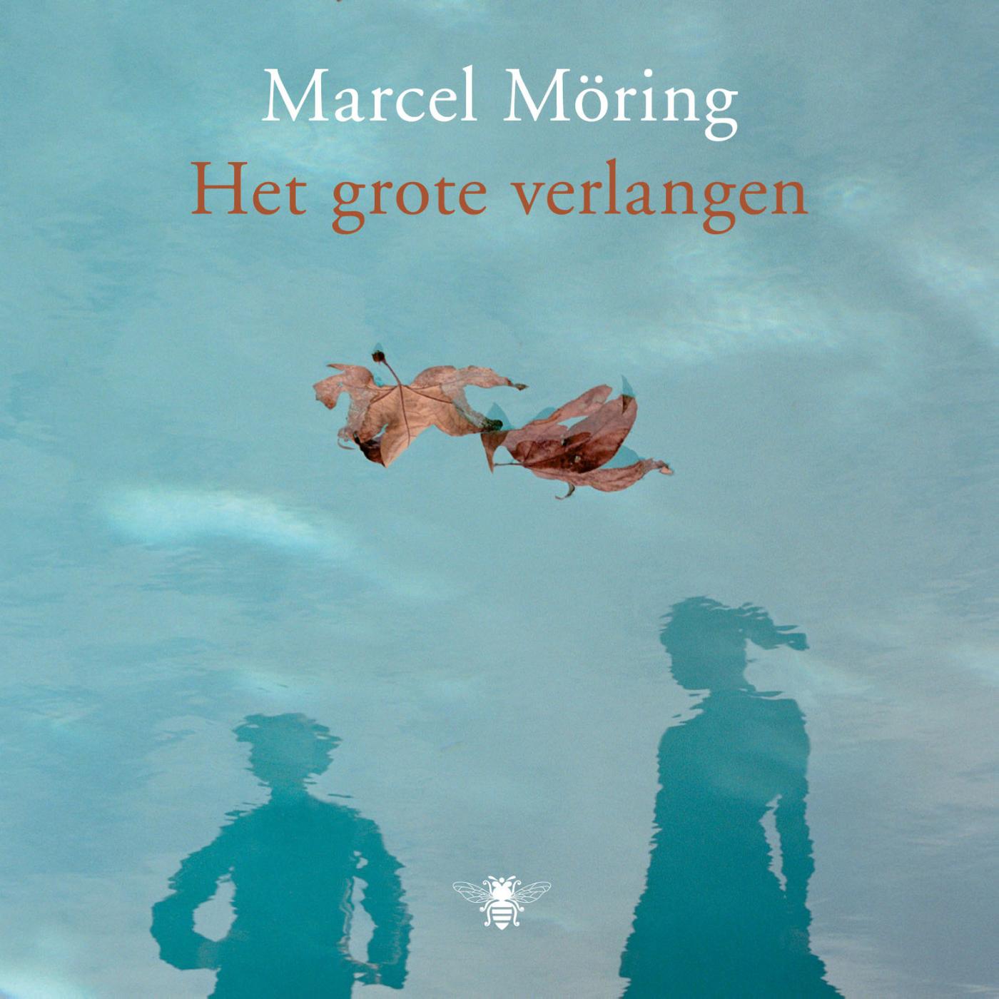 Omslag van Het grote verlangen
