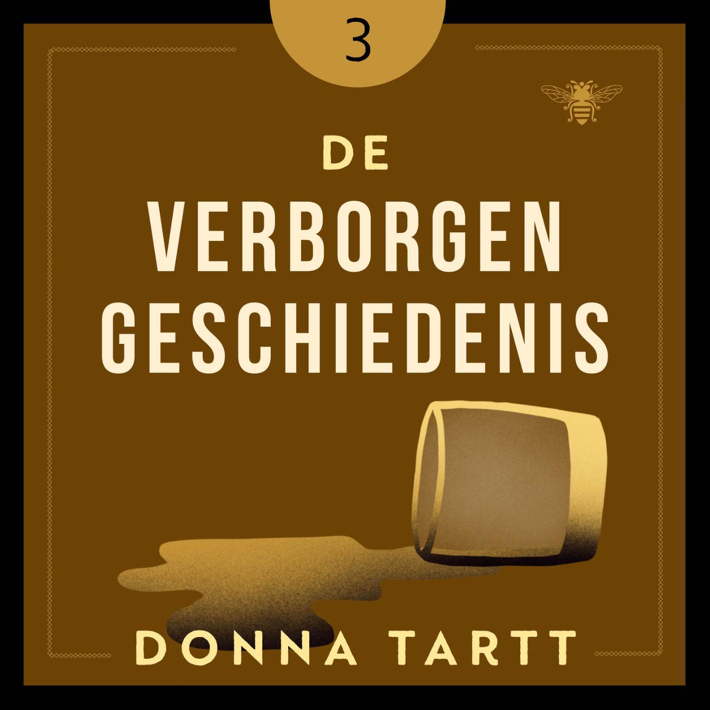 Omslag van De verborgen geschiedenis