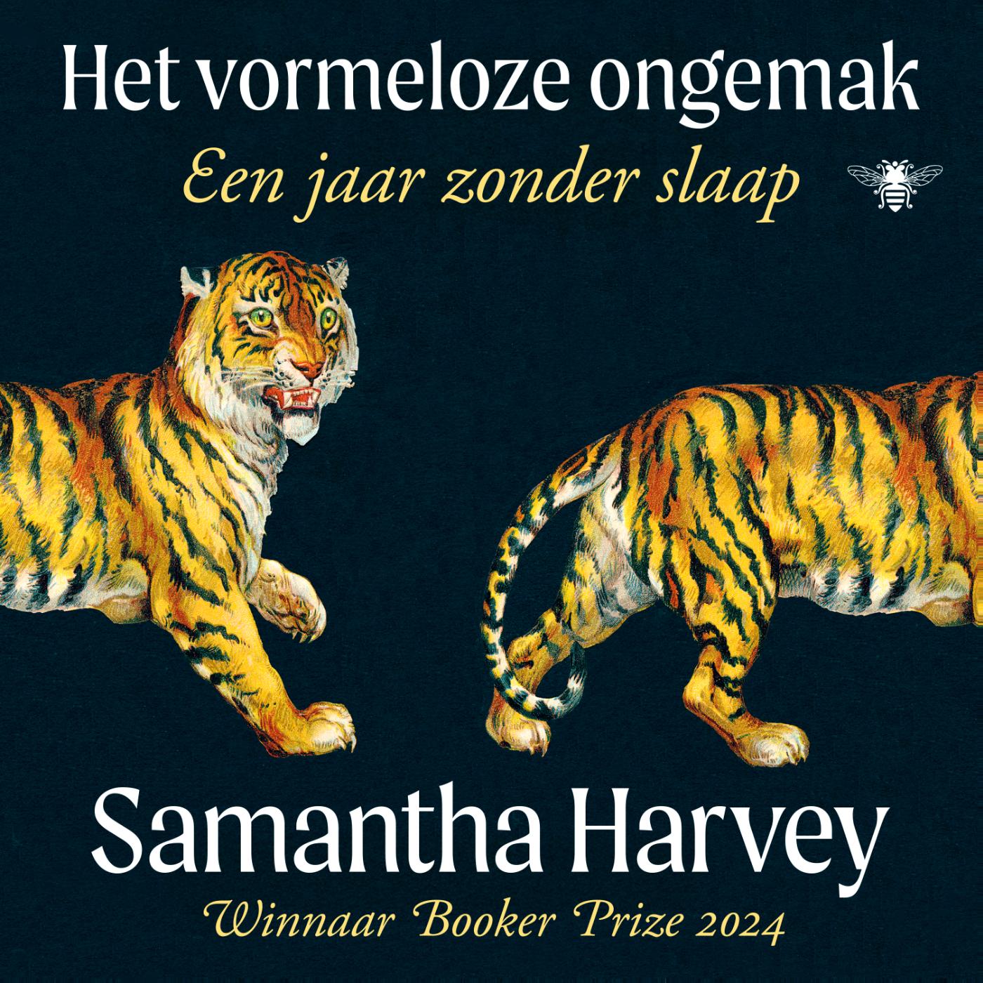 Omslag van Het vormeloze ongemak