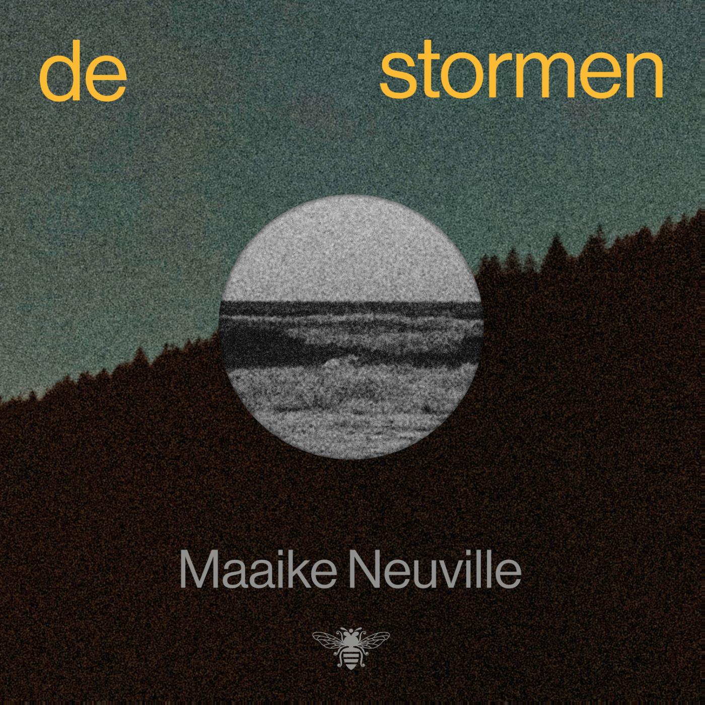 Omslag van De stormen
