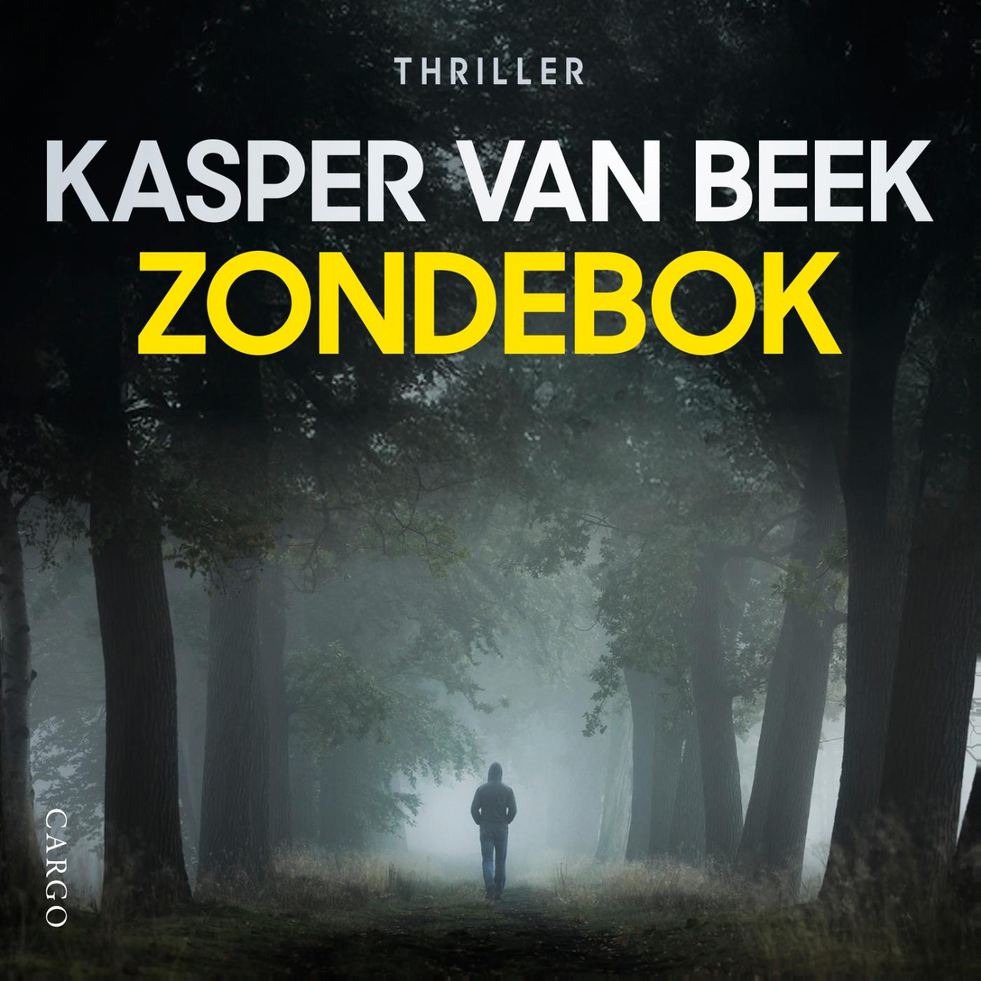 Omslag van Zondebok