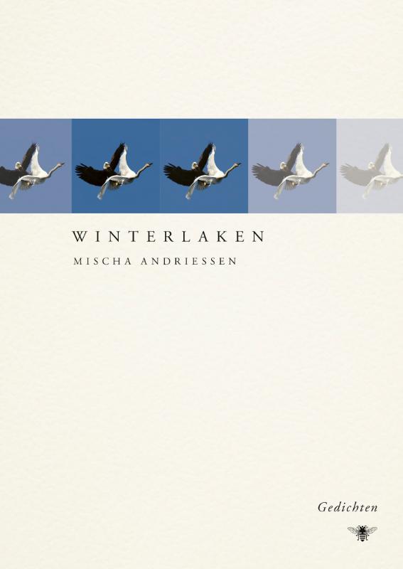 Omslag van Winterlaken