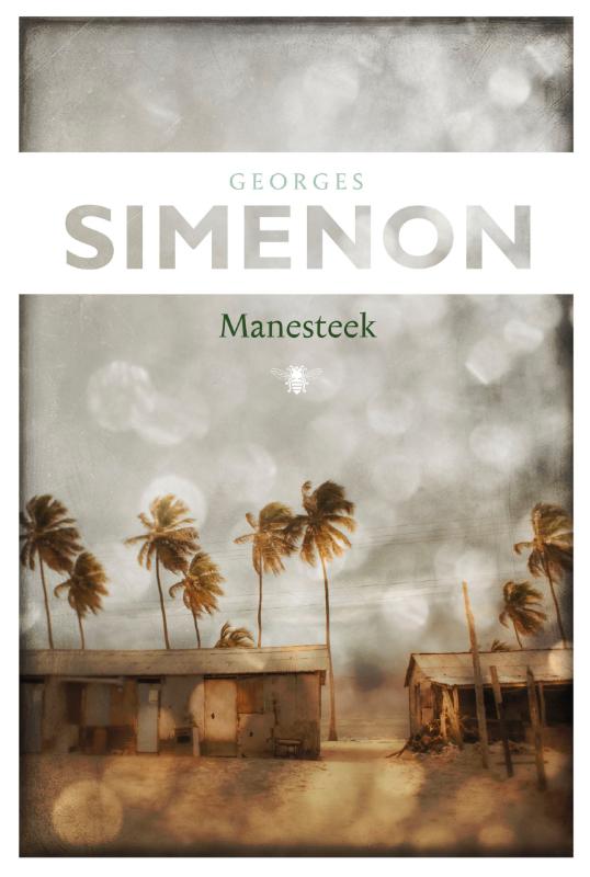 Omslag van Manesteek