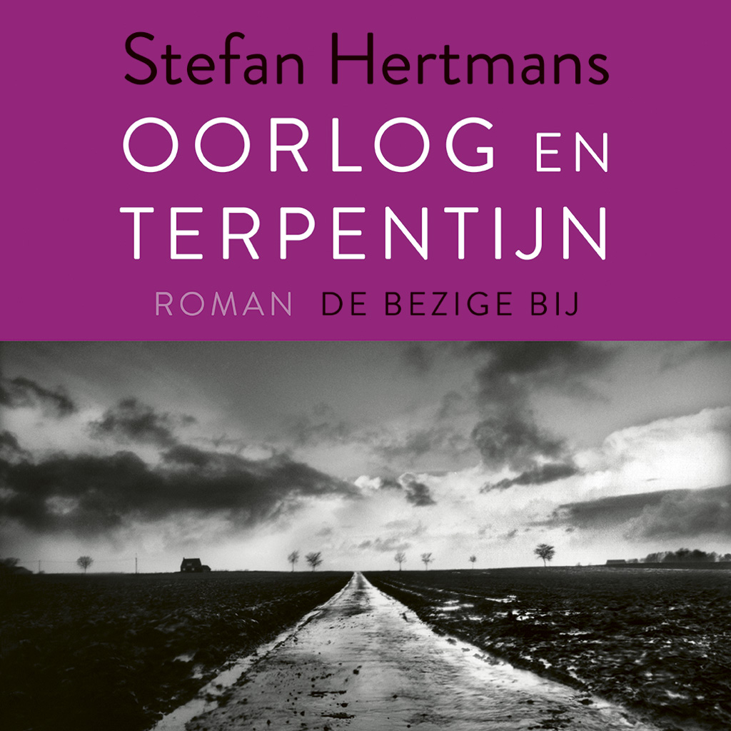 Omslag van Oorlog en terpentijn