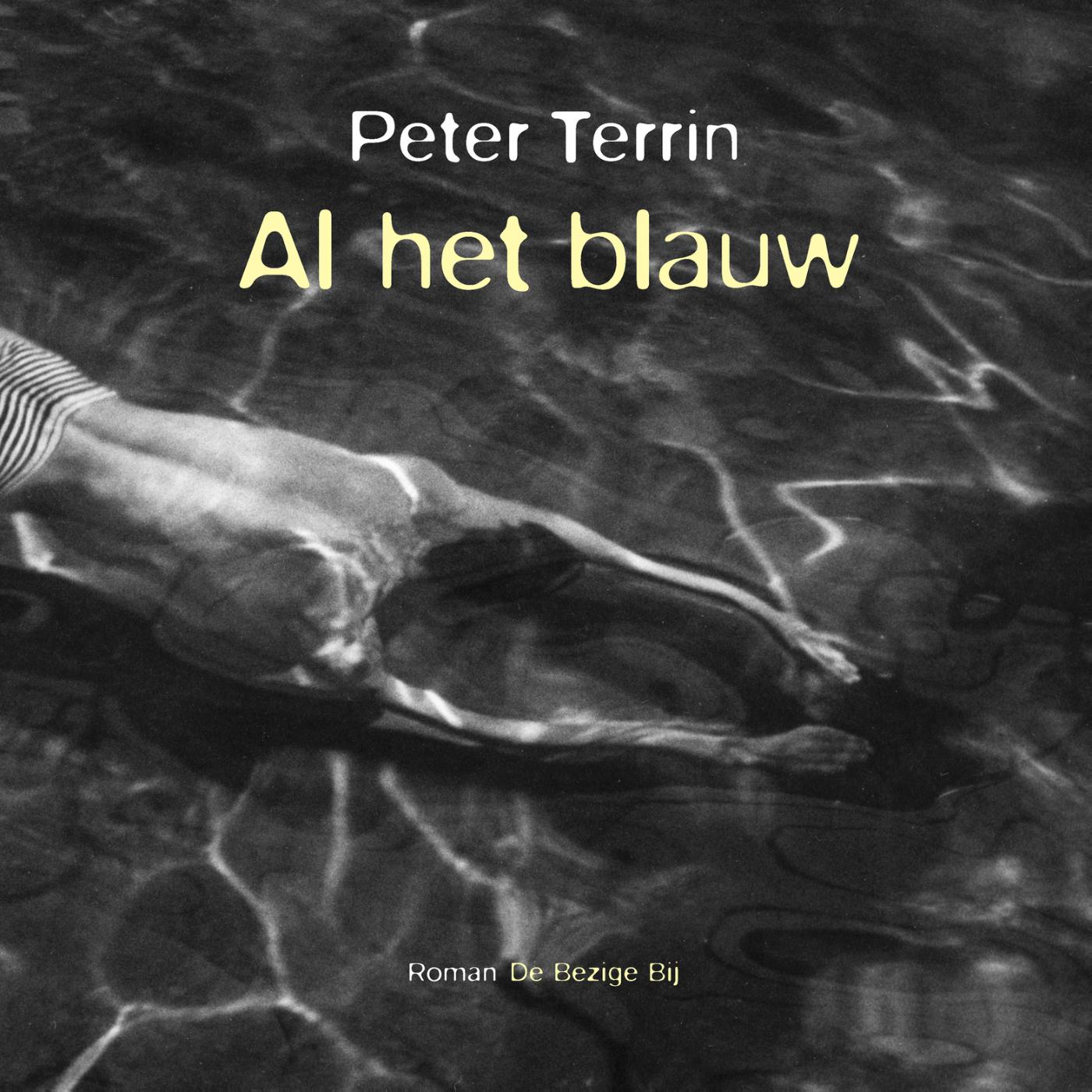 Omslag van Al het blauw