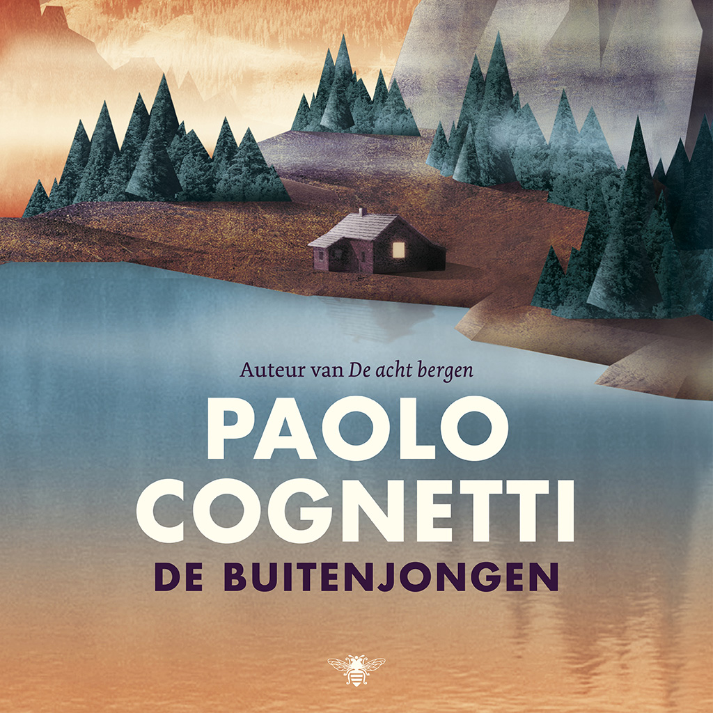 Omslag van De buitenjongen