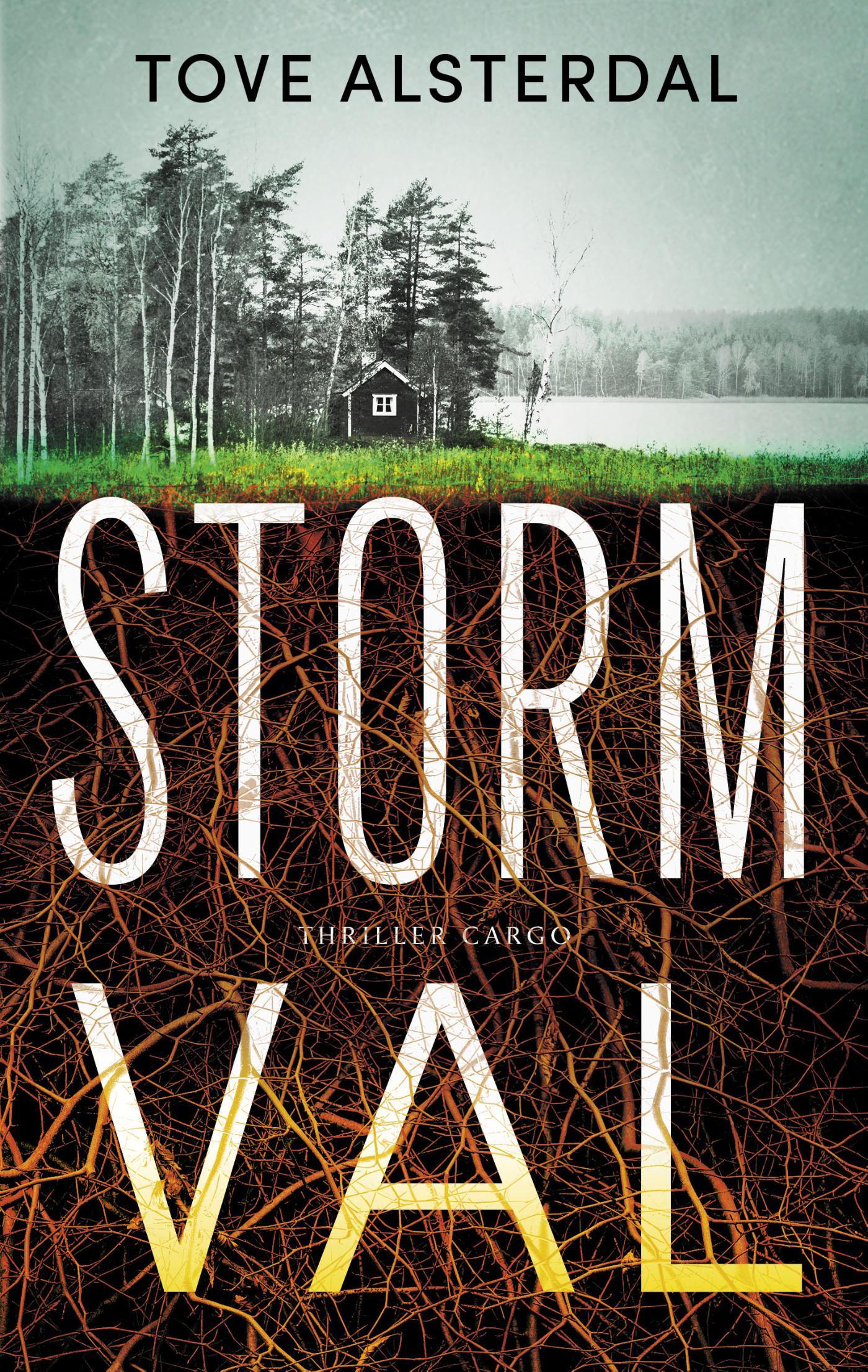 Omslag van Stormval