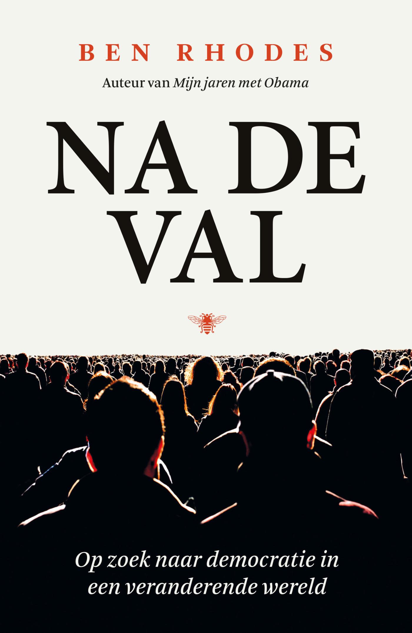 Omslag van Na de val