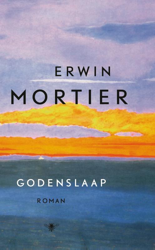 Omslag van Godenslaap