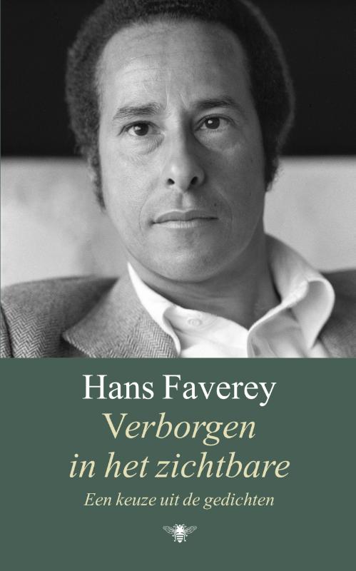 Omslag van Verborgen in het onzichtbare